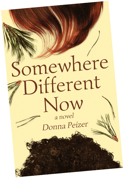 Somewhere Different Now book cover