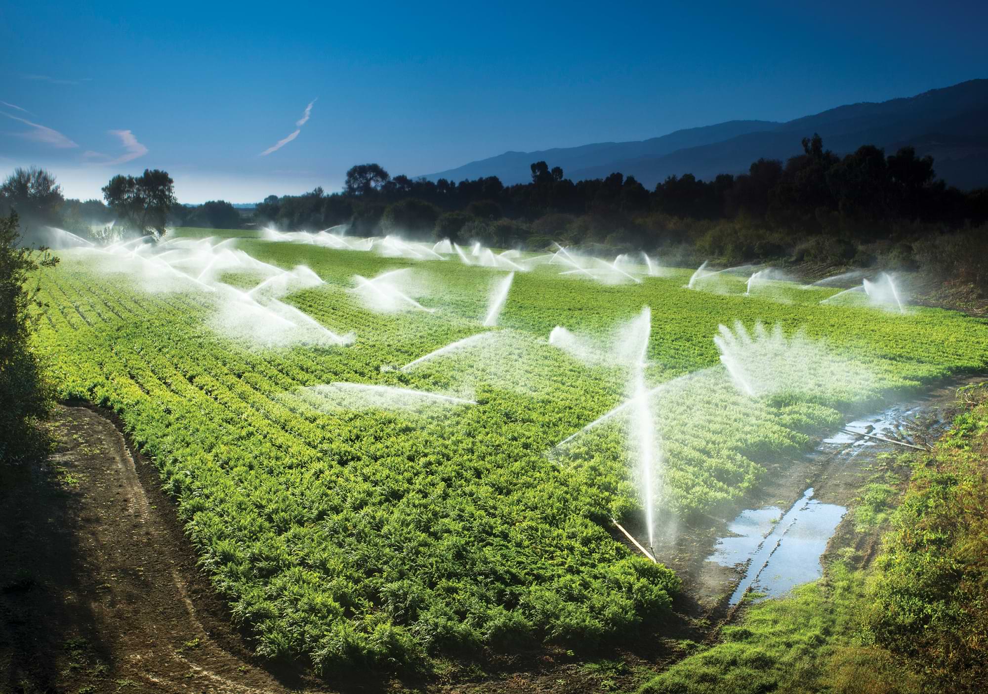a huge field of crops being watered
