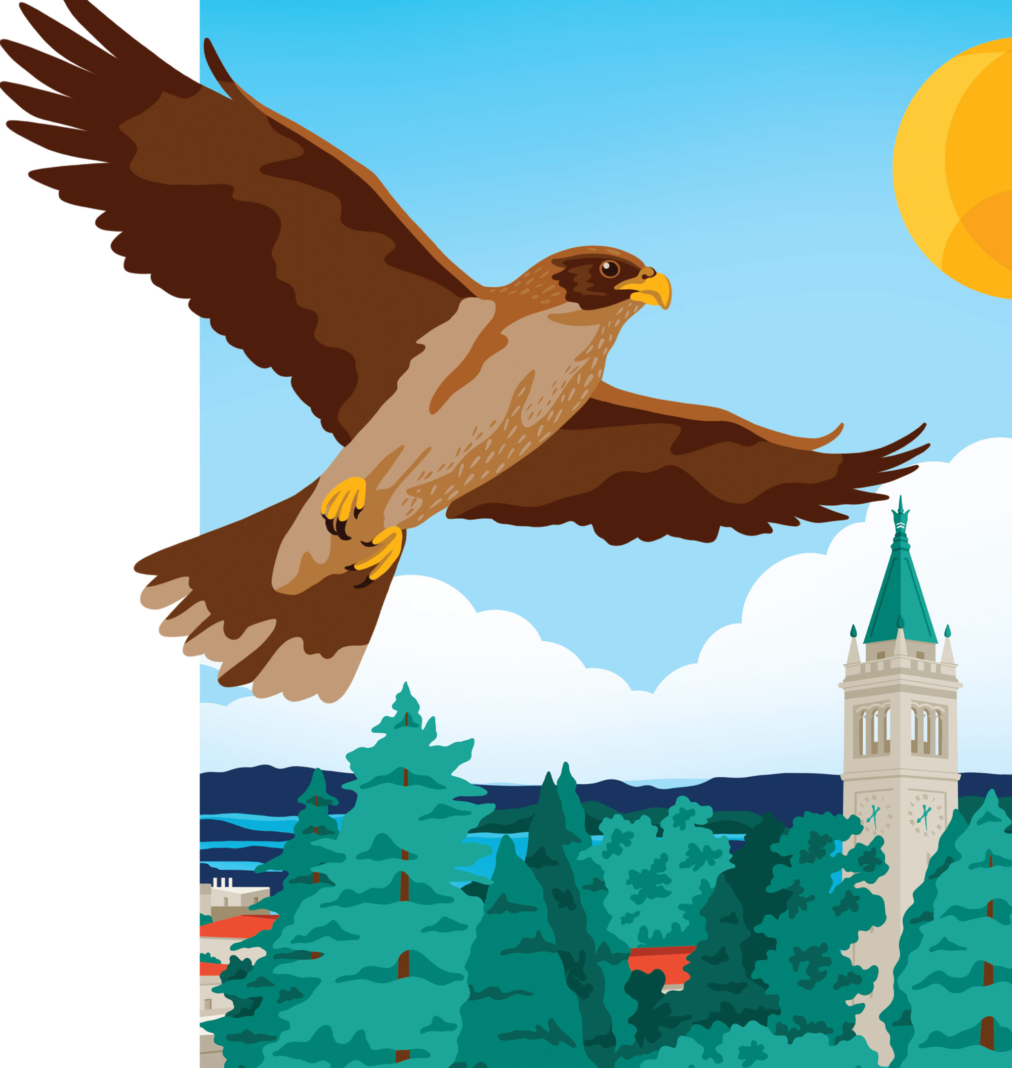 digital illustration of a brown eagle soaring over the Berkeley campus, Sather Tower is visible peaking out from a sea of trees, low buildings and surrounding landscape