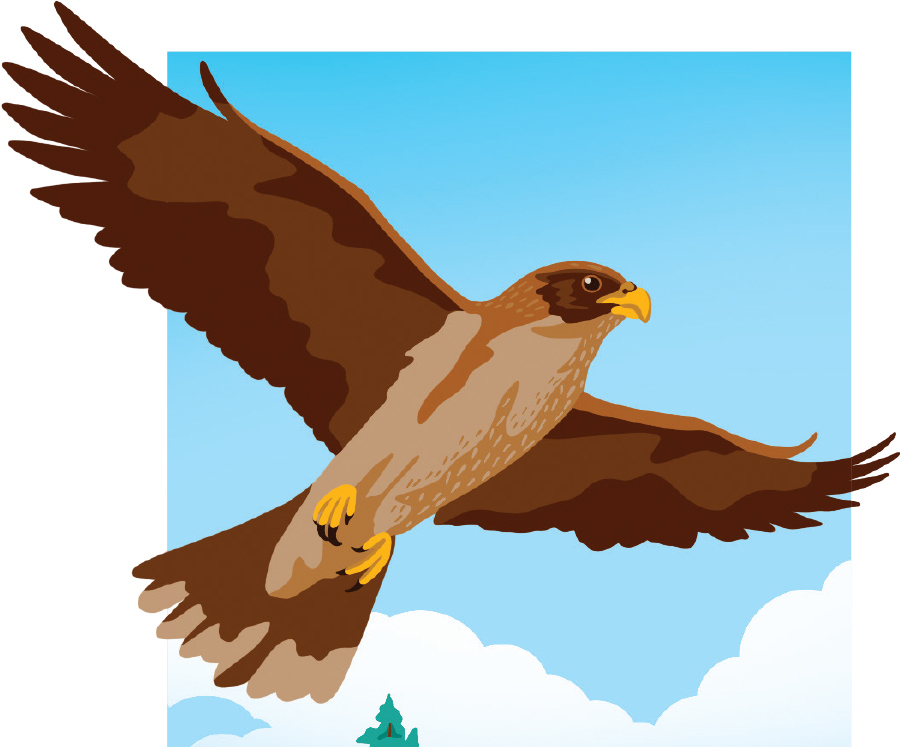 digital illustration of a brown eagle soaring over the Berkeley campus, Sather Tower is visible peaking out from a sea of trees, low buildings and surrounding landscape
