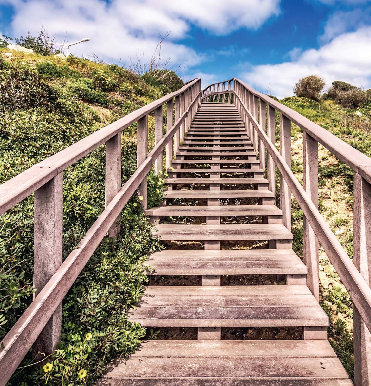 Every Step of the Way article snapshot